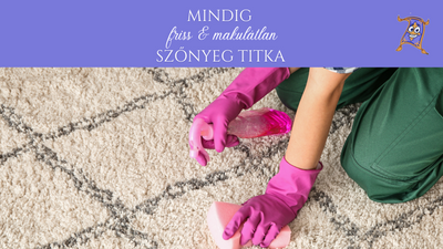 Pro tippek otthoni szőnyegtisztításhoz